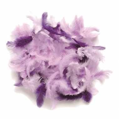 10 gram decoratie sierveertjes paars kleuren