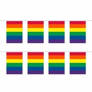 2x stuks vierkante regenboog vlaggenlijnen van 10 meter