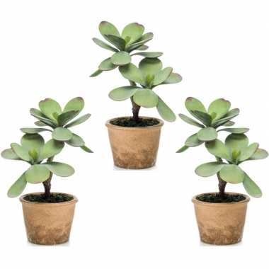 3x kalanchoe vetplanten kunstplanten 34 cm in bruine plantenpot