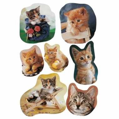 9x poezen/katten stickervellen met 7 stickers