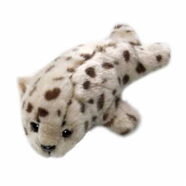 Gewone zeehond knuffeldier 21 cm