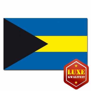Grote vlag van bahamas