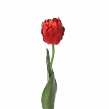 Kunstbloem tulpen rood 62 cm