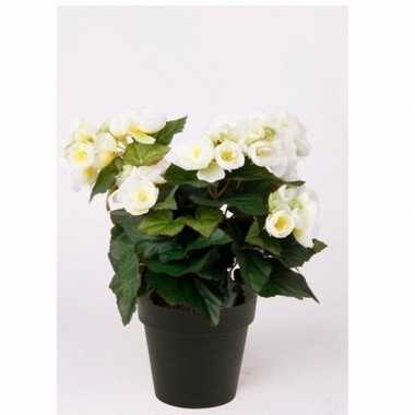 Kunstplant begonia wit 30 cm