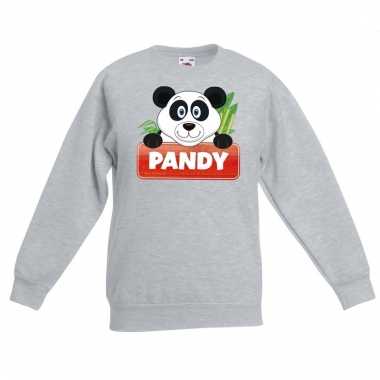 Panda dieren sweater grijs voor kinderen