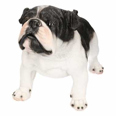Polystone tuinbeeld zwart/witte engelse bulldog 41 cm