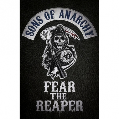 Sons of anarchy maxi poster 61 x 91,5 cm