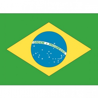 Stickertjes van vlag van brazilie