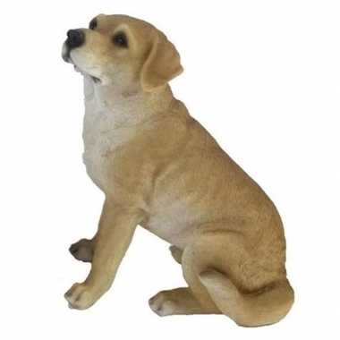 Tuinbeeld blonde labrador hond 22 cm