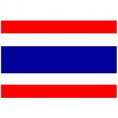 Vlag van thailand mini formaat 60 x 90 cm