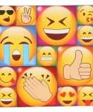13x smiley emoticon magneetjes emoji type 1
