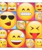 13x smiley emoticon magneetjes emoji type 3