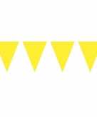1x mini vlaggetjeslijn slingers geel 300 cm