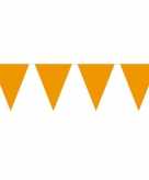 1x mini vlaggetjeslijn slingers oranje 300 cm