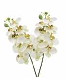 2 stuks nep planten witte phaleanopsis vlinderorchidee kunstbloemen 70 cm decoratie