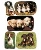 3x honden puppy stickervellen met 5 stickers