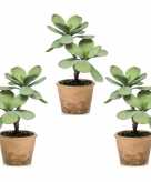 3x kalanchoe vetplanten kunstplanten 34 cm in bruine plantenpot