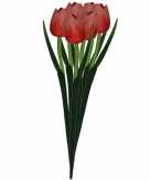 6x rode decoratie tulpjes 35 cm van hout