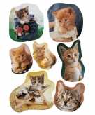 9x poezen katten stickervellen met 7 stickers
