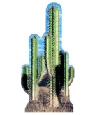 Cut out van een cactus