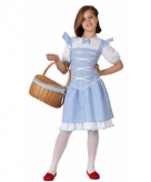 Dorothy wizard of oz verkleedjurk voor meisjes