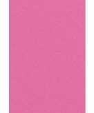 Feest versiering roze tafelkleed 137 x 274 cm papier 10122043