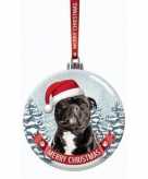 Glazen kerstbal hond staffordshire bull terrier 7 cm