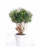 Groene kunstplant ficus 70 cm plant in pot