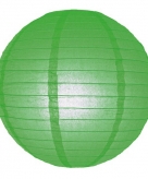 Groene lampion rond 25 cm