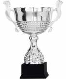 Grote zilveren beker cup trofee 36 cm
