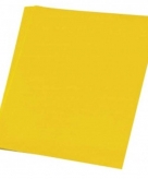 Hobby karton geel 48x68 cm