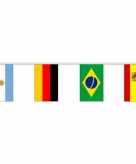 Internationale vlaggenlijn 10 meter