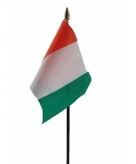 Ivoorkust vlaggetje polyester