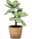 Kalanchoe vetplanten kunstplanten 34 cm in bruine plantenpot