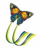 Kindervlieger vlinder gekleurd