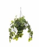 Nep planten groene monstera gatenplant kunstplanten 50 cm met hangpot