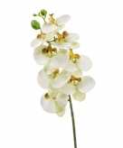 Nep planten witte phaleanopsis vlinderorchidee kunstbloemen 70 cm decoratie