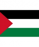 Palestina vlaggen 90 x 60 cm