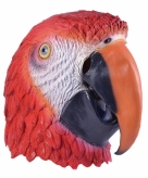 Papegaaien maskers voor volwassenen