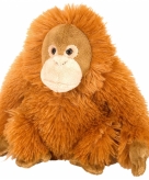 Pluche knuffel knuffeldier orang oetan oranje 20 cm