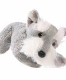 Pluche knuffel schnauzer hond grijs 25 cm