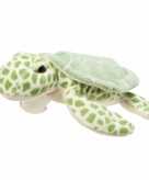 Pluche knuffeldier schildpad 22 cm