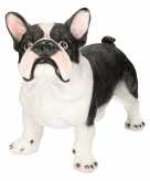 Polystone tuinbeeld zwart witte franse bulldog 38 cm