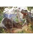 Poster met vechtende dinosaurussen 61 x 91 cm
