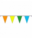 Regenboog vlaggenlijn van stof 20 m