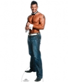Star cut out chippendale nathan