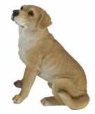 Tuinbeeld blonde labrador hond 22 cm