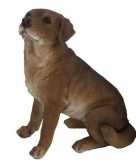 Tuinbeeld bruine labrador hond 22 cm