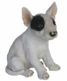 Tuinbeeldje bull terrier 18 cm