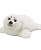 Witte knuffel zeehond 40 cm